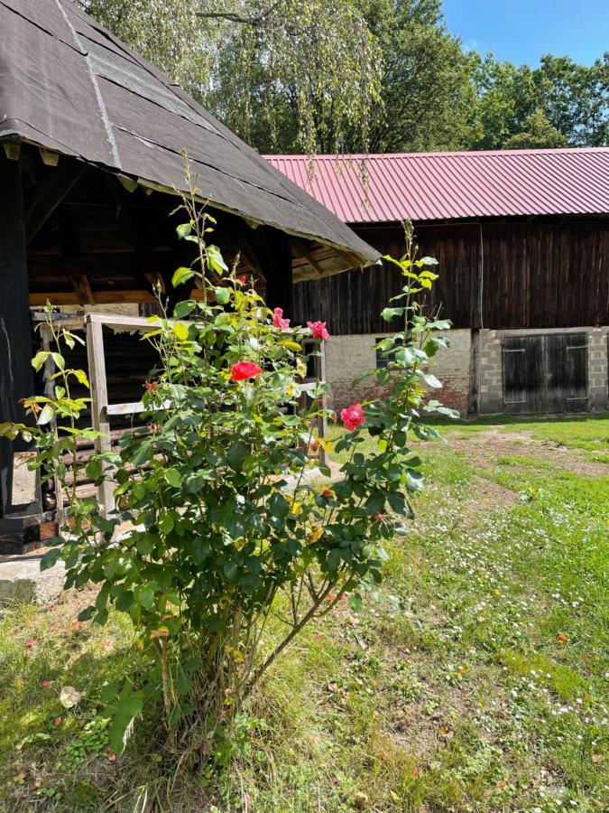 Schellnhof Forsthaus Am Waldrand Apartman Nidda Kültér fotó